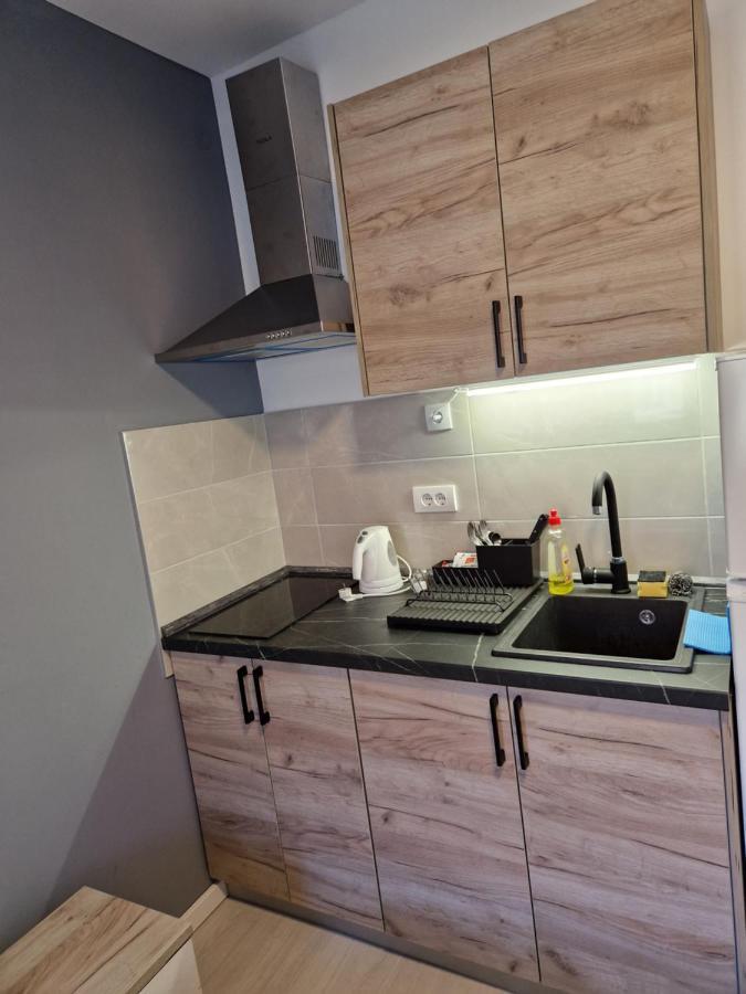 Sofia Apartment Sajmiste المظهر الخارجي الصورة
